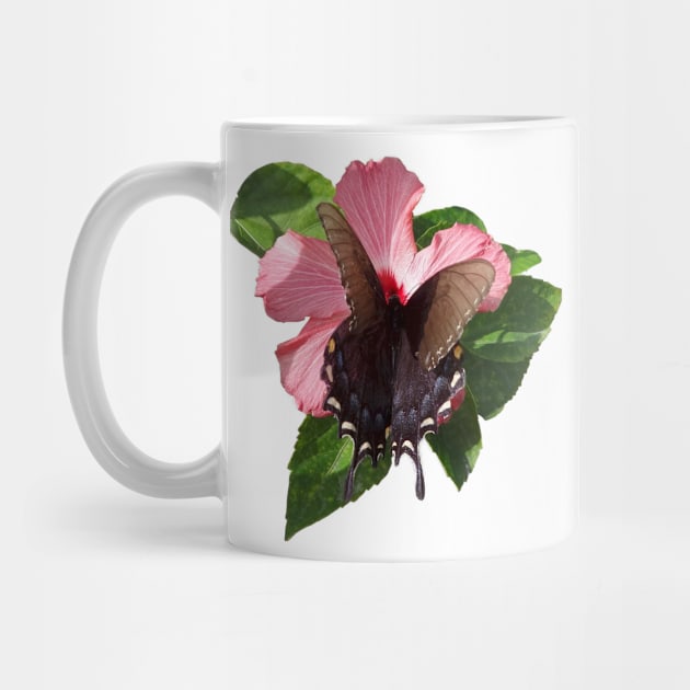 Swallowtail Black Butterfly On Hibiscus by Orikall by Orikall